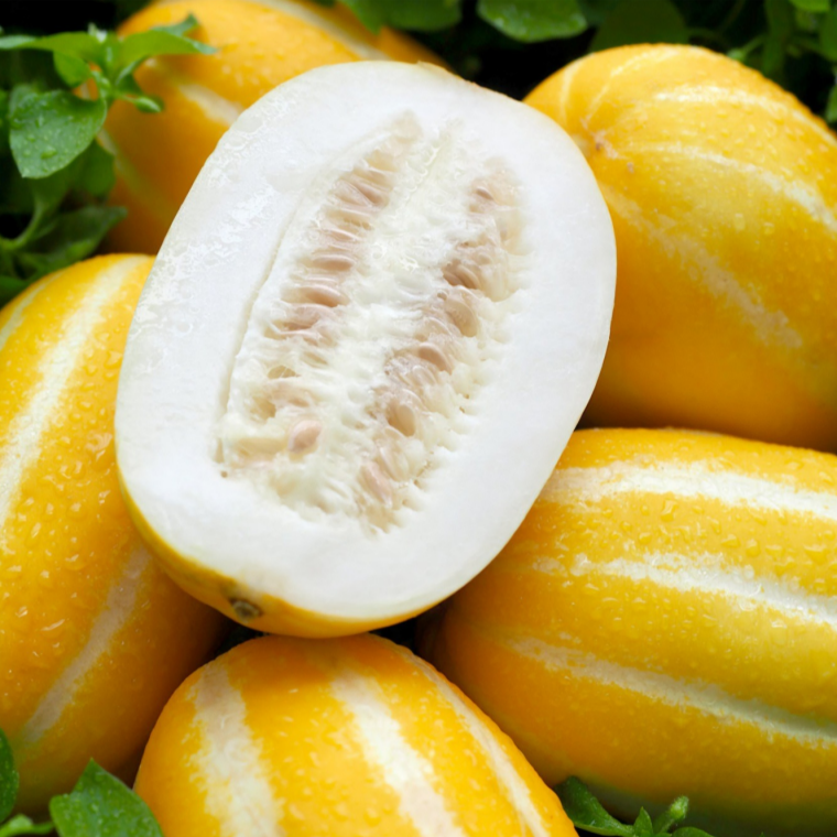 [프리미엄] 성주참외 가정용 선물용 (로얄과) 5kg 1박스 산지직송, 1박스, 로얄과(5kg) 47,800원