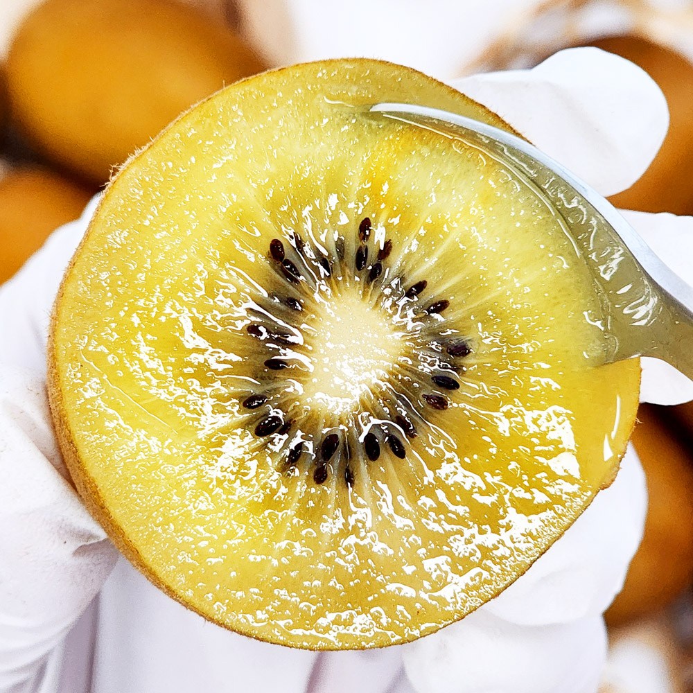 [울팜] 고당도 제주 감황 하트 골드 키위 18,900원