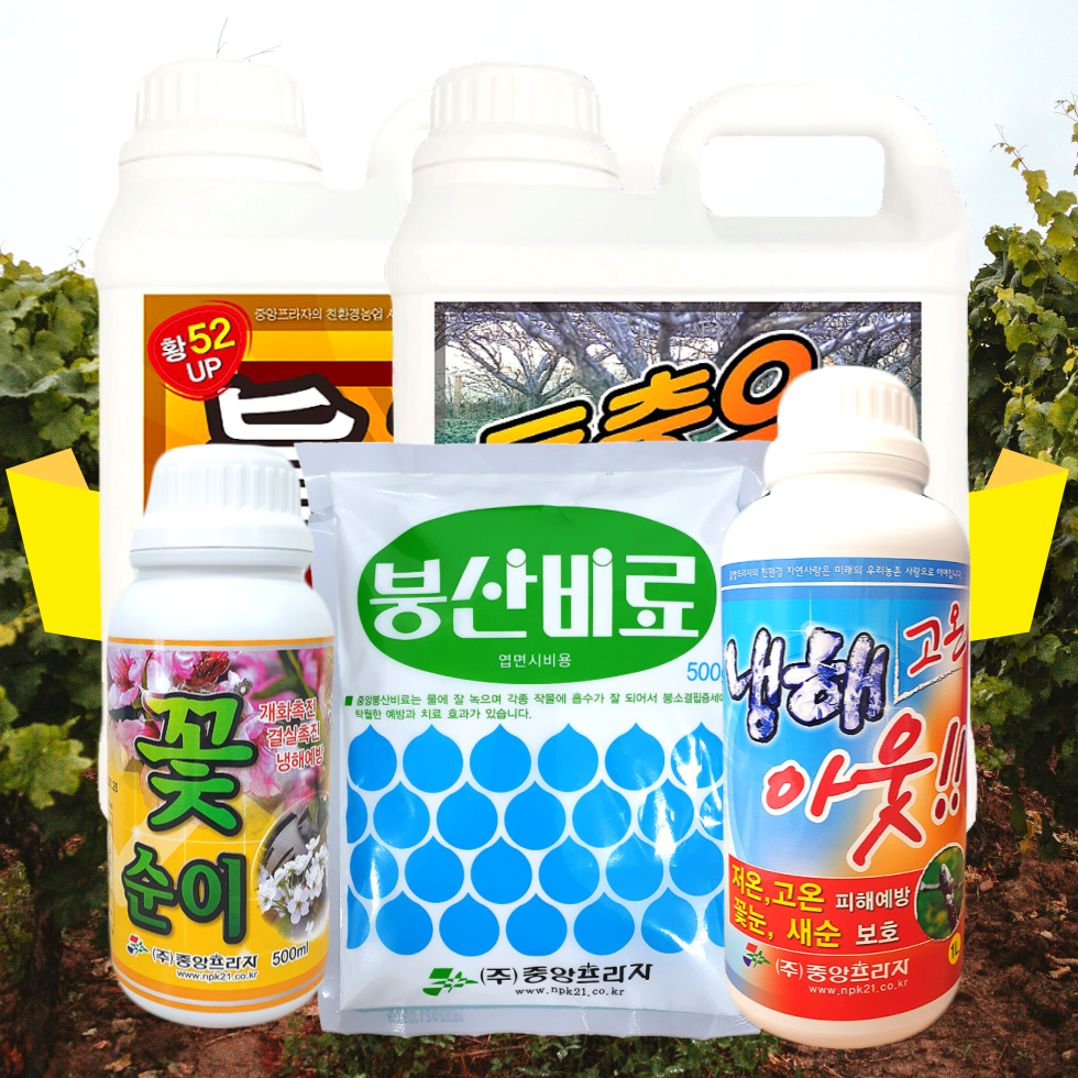 [시골생활 비료] [과수 움트기전 풀패키지] 석회유황합제 기계유유제 대용 황소독 복숭아 매실 과수 나무 유황 비료 진황 동충유 2L 개화촉진 꽃순이 붕산비료 냉해고온아웃 세트 91,500원