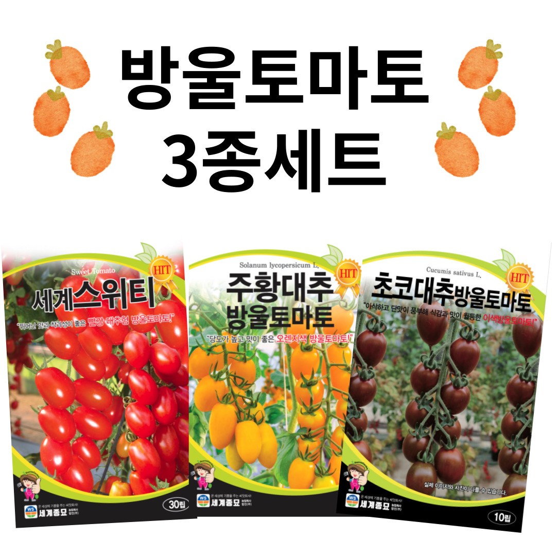 방울토마토 씨앗 3종 세트 / 주황 빨강 초코 대추 방울 토마토 종자 씨 12,350원