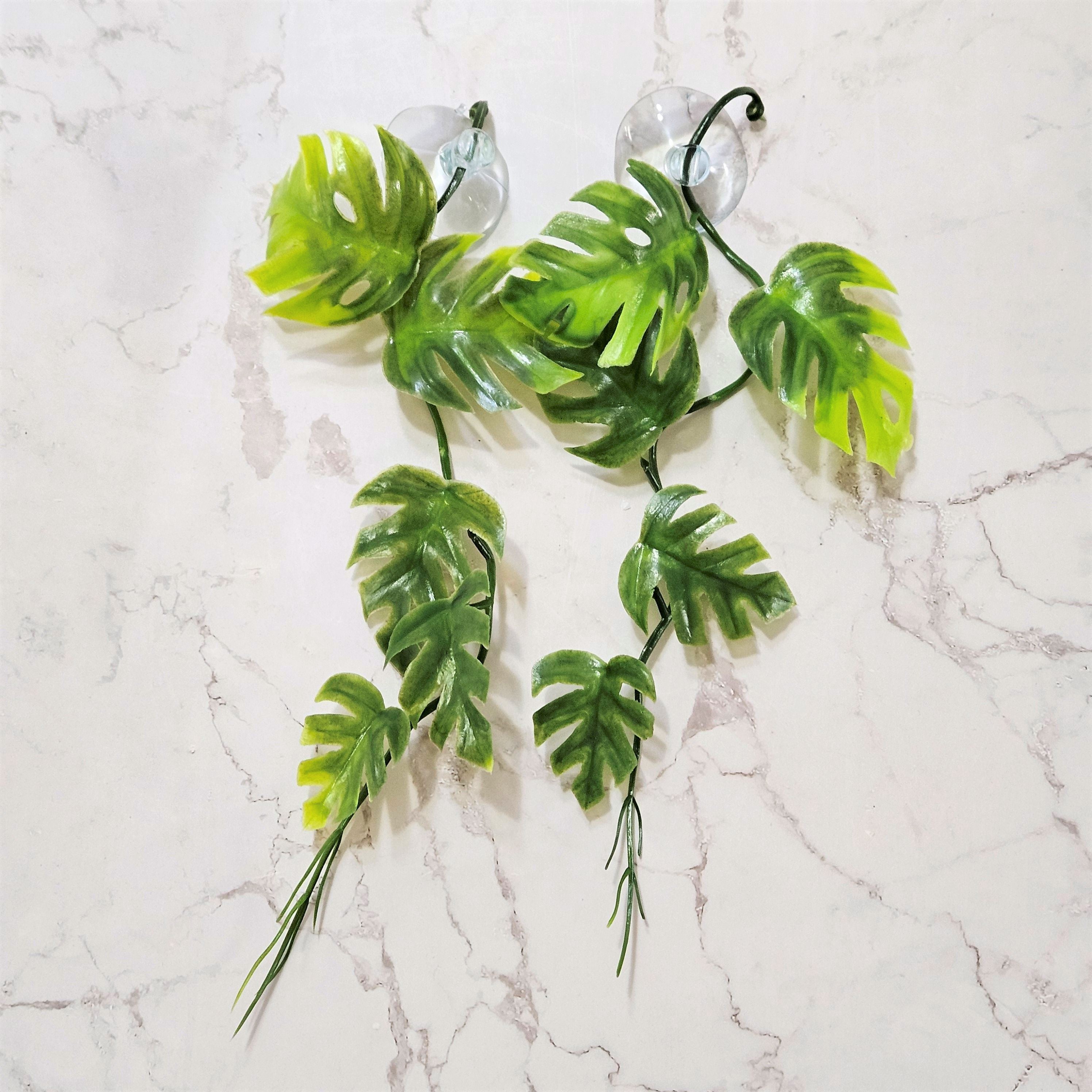 플라스틱 넝쿨 크레스티드 게코 도마뱀 파충류 사육장 꾸미기 인조풀 반짝CR 반짝크레, 2개, 몬스테라 5,500원