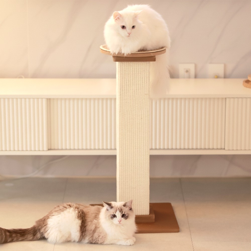 아토주 파우제 고양이 기둥 수직 스크래쳐 탑시트 포함, 1개, 원형 브라운 세트 62,800원