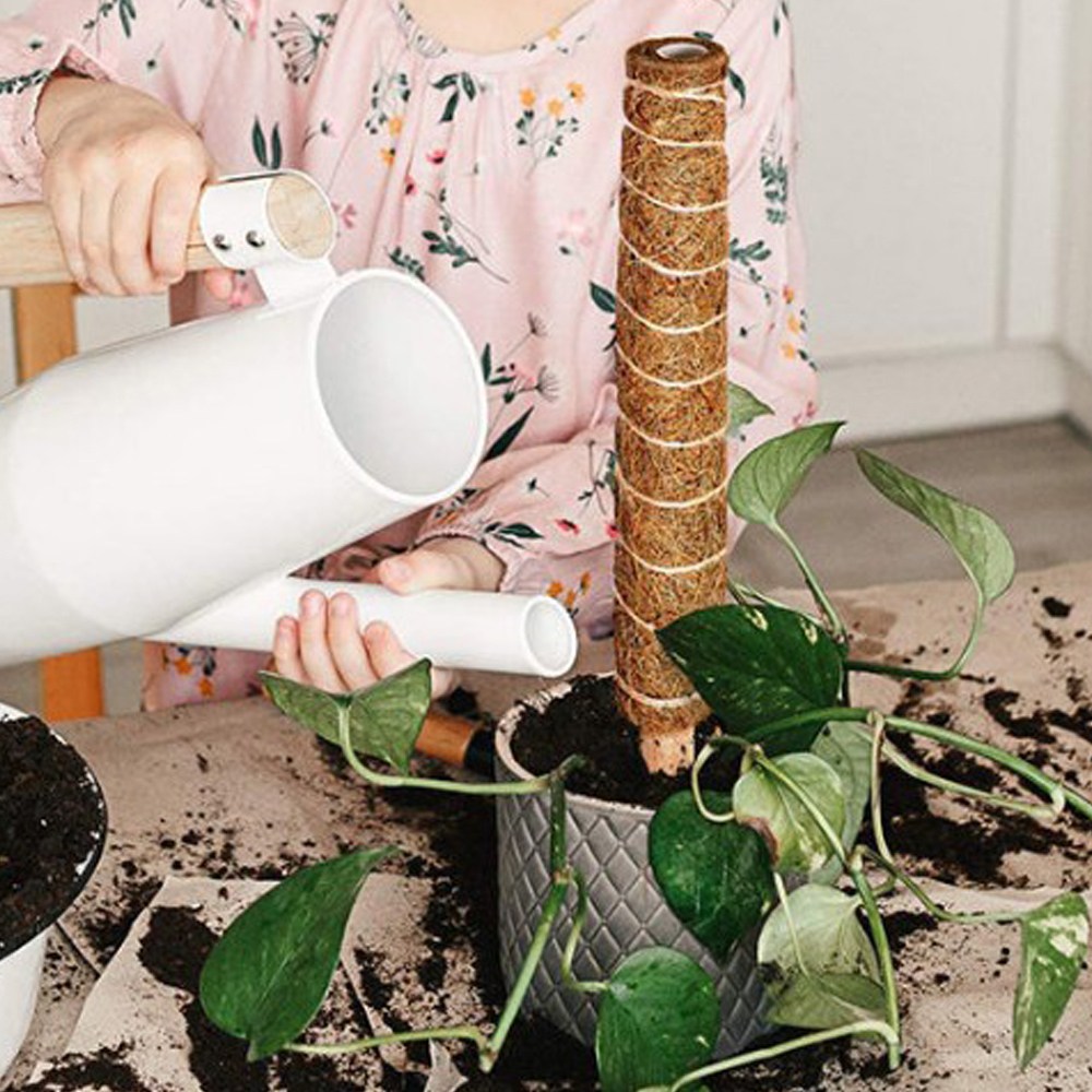 코코봉 식물 몬스테라 수태봉 화분지지대 30cm 40cm 50cm 60cm 70cm 80cm 90cm 100cm 5,080원