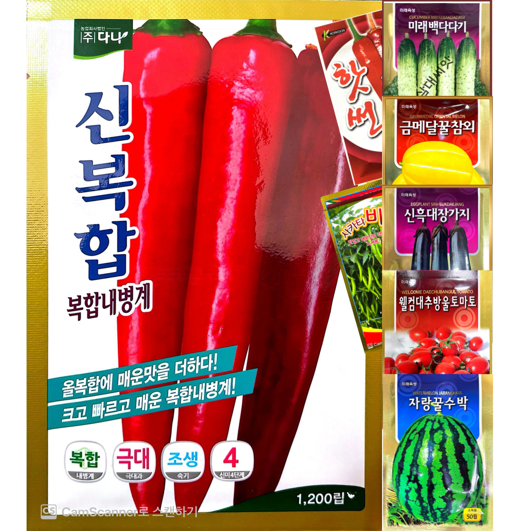 신복합 고추씨앗 1200립 다나시드 매운타입의 올복합 150,000원