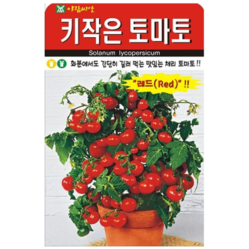 하이원 체리 토마토 씨앗 키작은토마토씨 50립 4,990원