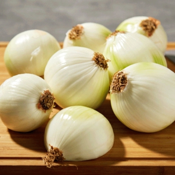 블루밍그린 [산지직송] 국내산 깐양파(대특) 10kg 38,540원