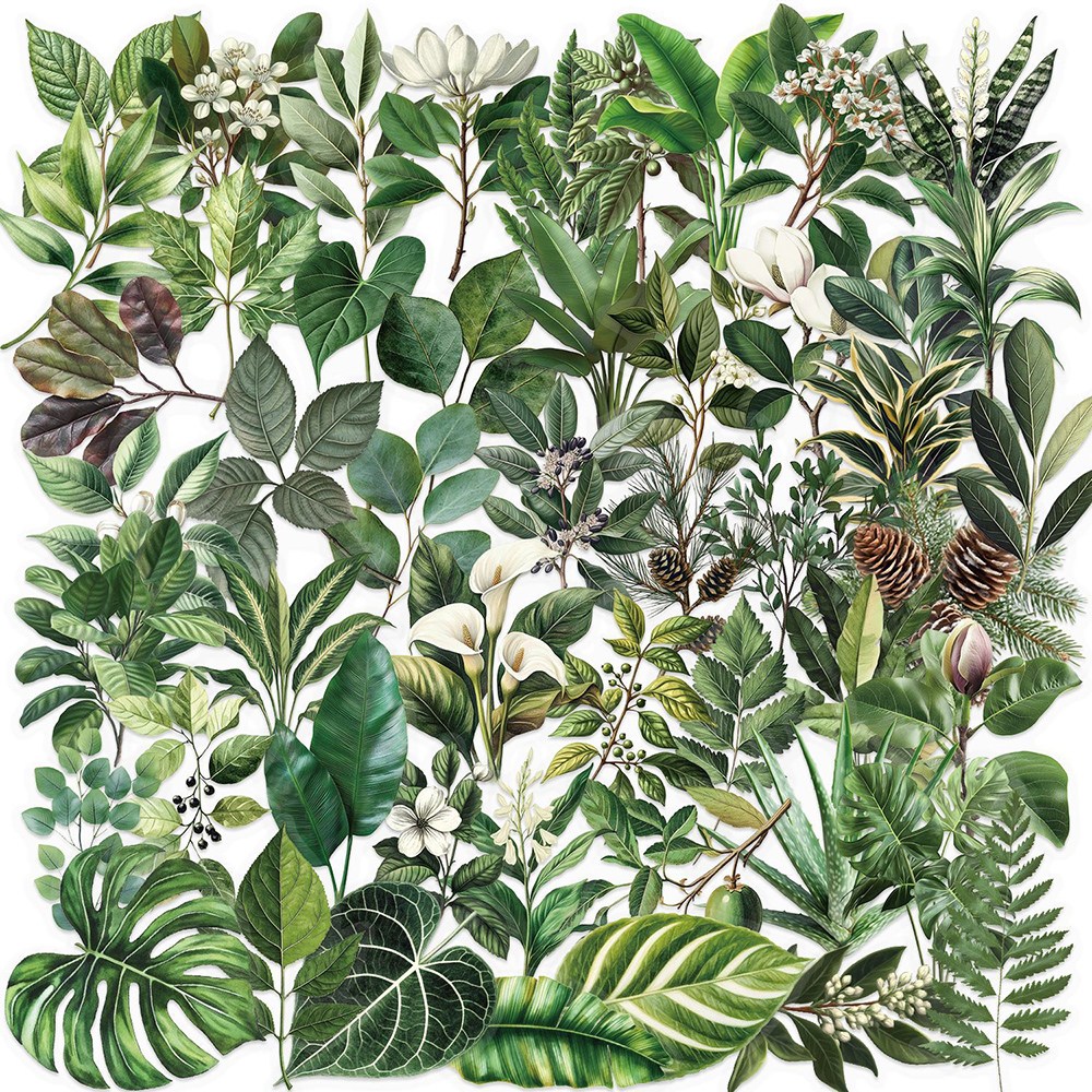 데일리펀 투명 PET 다꾸 핸드폰 노트북 꽃 플라워 소품 다이어리 꾸미기 스티커 diy 만들기재료 6,800원