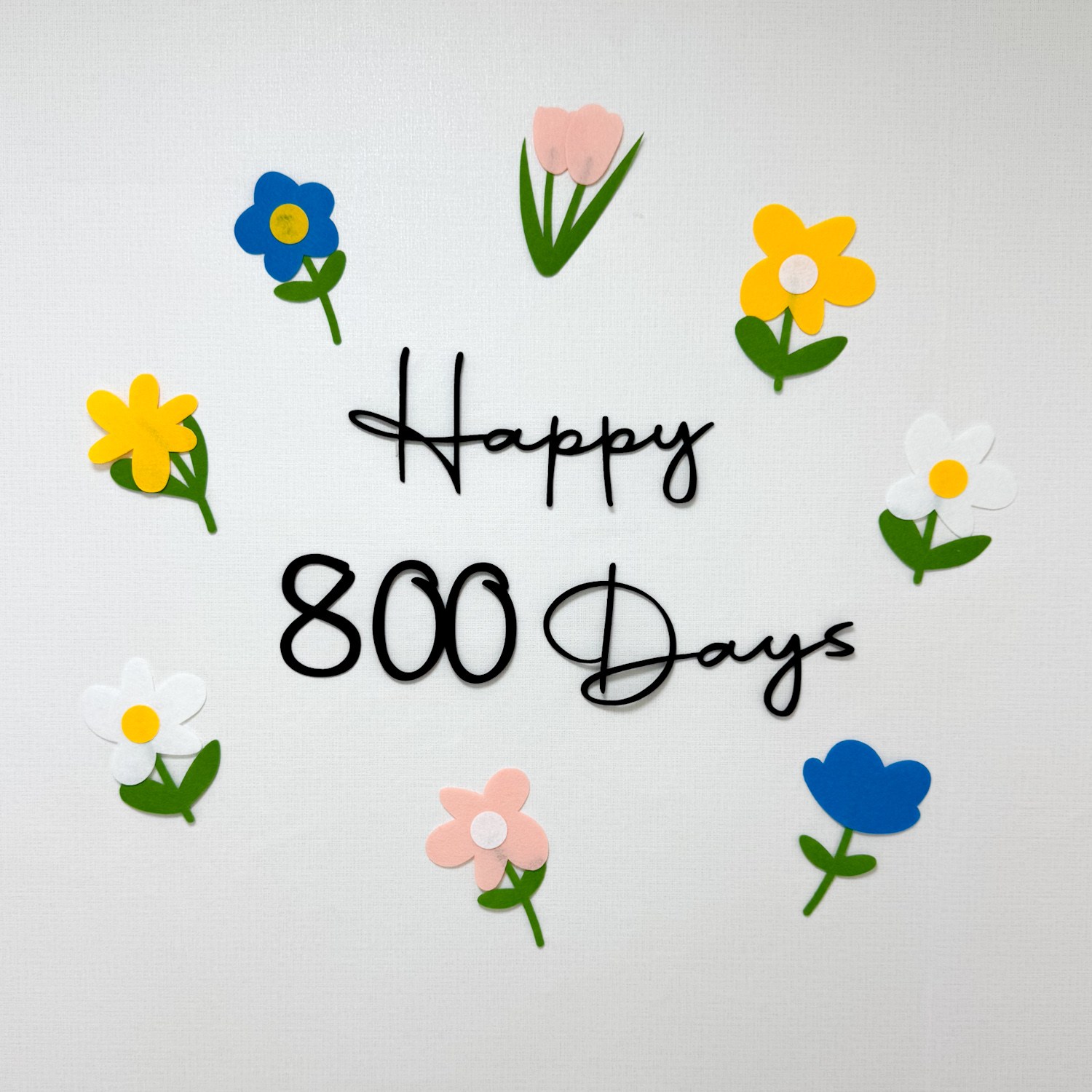 쏙쏙마켓 플라워 펠트 마일스톤 가랜드 이백일 삼백일 기념일 셀프 촬영 파티용품, 1개, 800일 세트, 가랜드 단품 13,900원