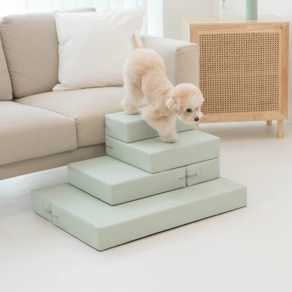 파미야 논슬립 변신형 강아지 계단, 민트, 1개 39,900원