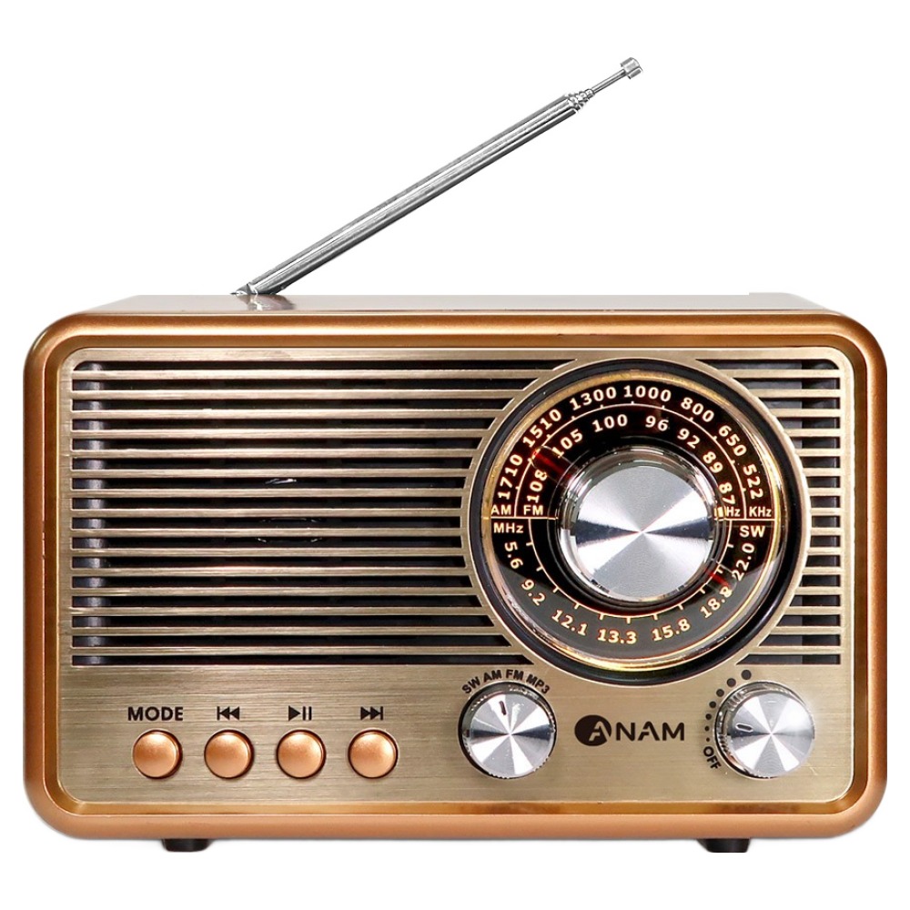 아남 휴대용 레트로 라디오 블루투스 스피커, R50, 골드 32,200원