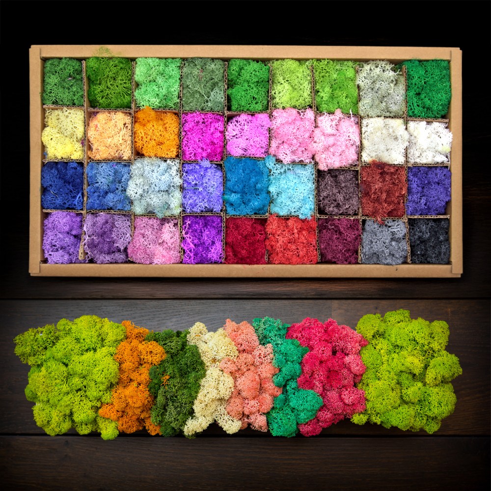 칼라모스 천연이끼 이끼모스 원예 DIY 테라리움 습기조절 공기정화 36색 (약 558g) 98,000원