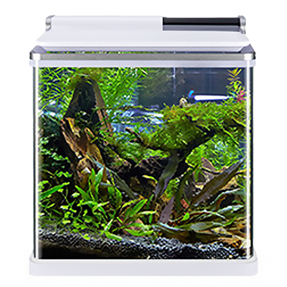 아마존 일체형어항 AMZ-620F 68,480원