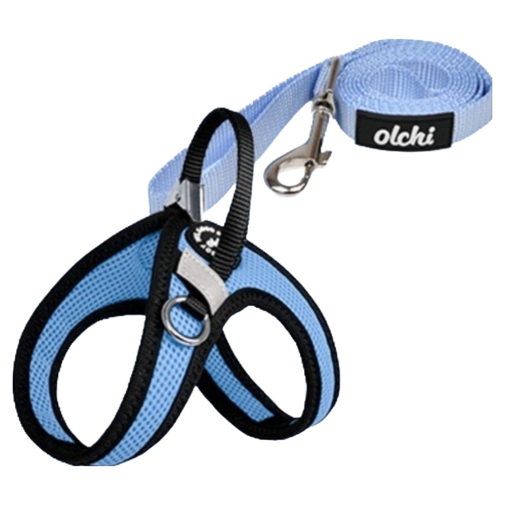 올치 강아지 산책 콤비V 스트링 하네스 + 리드줄 세트 HV6049, 스카이블루, 1세트 15,900원