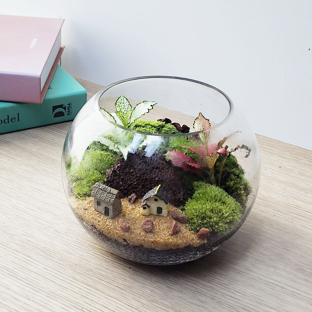 잎새몰 볼15 이끼 테라리움 키트 만들기 DIY 비바리움 (사은품: 핀셋 20~30cm 1개) 14,900원