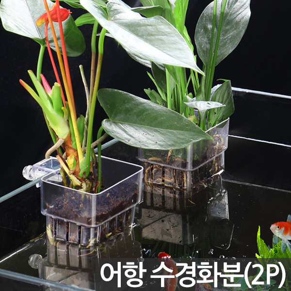 세인화분 수족관 어항 수경 화분 장식 2P 세트 - 수경화분 수경식물화분 어항화분 식물 키우기 화초 수중 수생 수경 재배 꾸미기 장식 6,300원