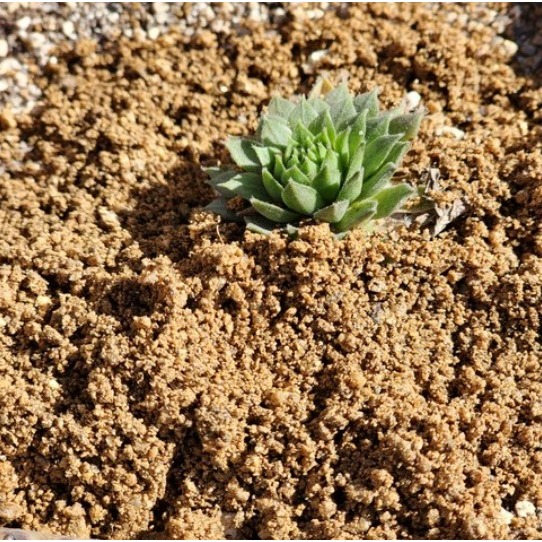 위드블럭 원예용 분갈이 건강한 마사토, 2개, 2kg 3,500원