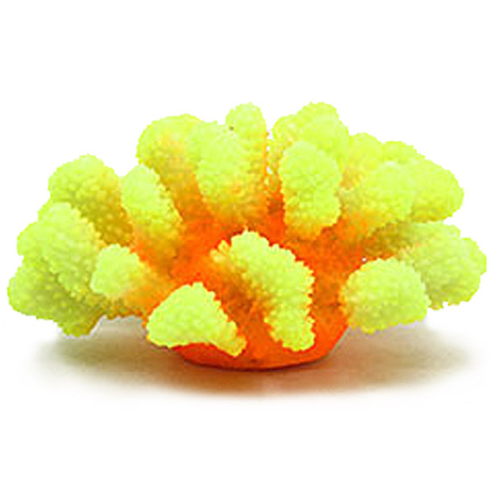 아쿠아비 바다산호 산호석 장식 12,000원