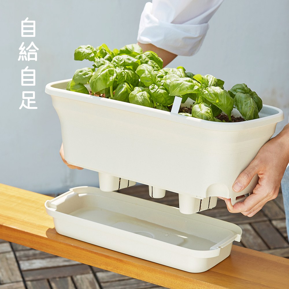 자급자족라이프 자동급수 화분 세트 (배양토+씨앗) 저면관수/베란다 텃밭 화분/상추 바질 루꼴라 방울토마도 중 2택 21,500원