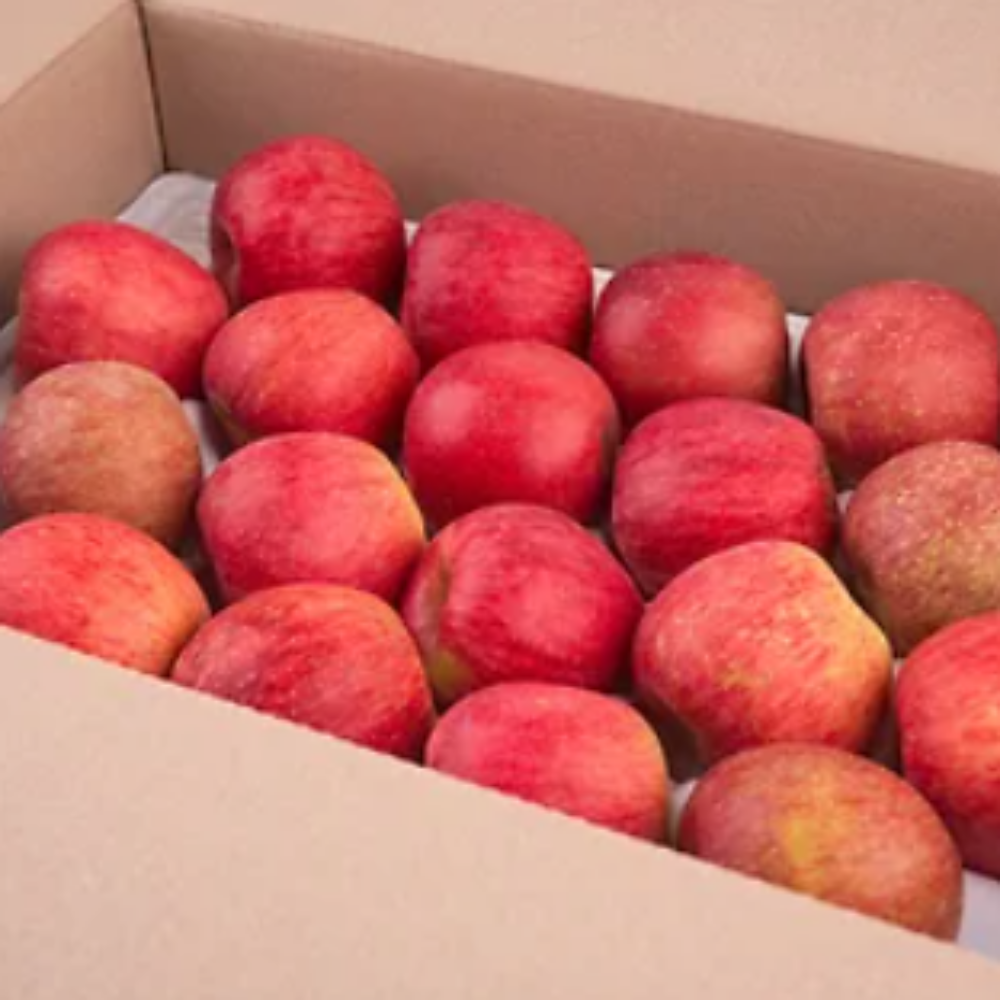 부사 사과 정품 고당도 얼음골 사과 (정품), 1개, 5kg 대과 (정품) 60,500원