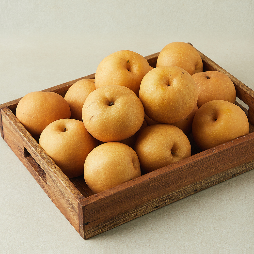 [로켓프레시] 나주배원예농협 알뜰배 19,980원