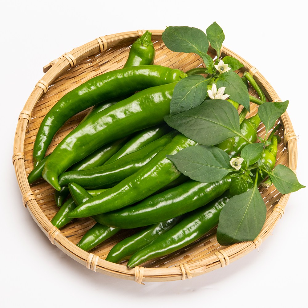 국내산 싱싱하고 맛있는 고추 5,290원