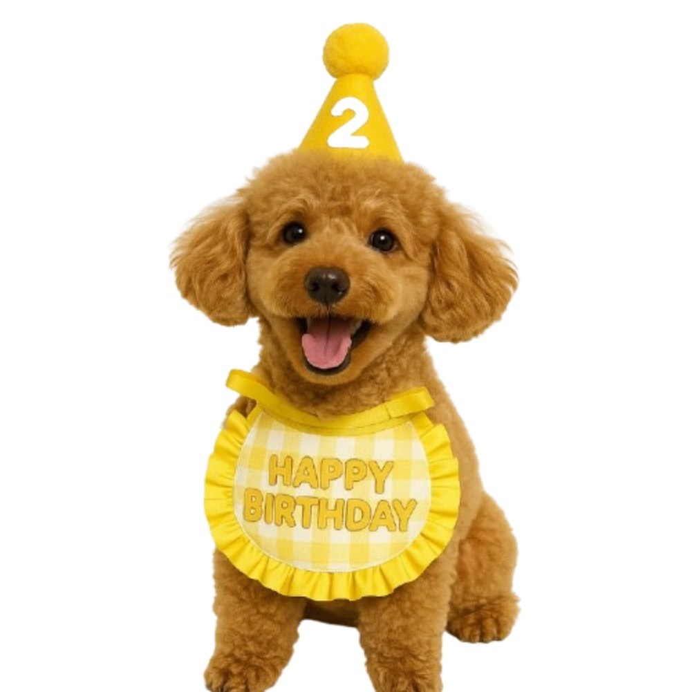 강아지 고양이 생일 파티 용품 돌잔치 모자 턱받이 스카프 악세사리 6,670원