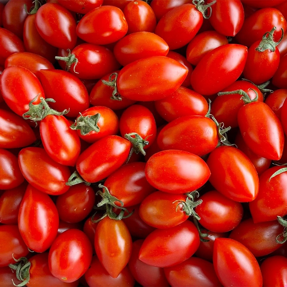 [엄지척농산물] GAP인증 대추방울토마토, 2kg, 1박스 24,400원