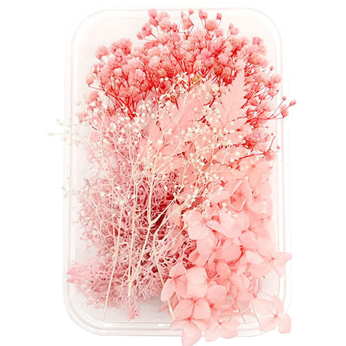 [드그라쎄] 핑크 안개꽃 프리저브드 플라워 드라이플라워, 프리저브드 5,950원