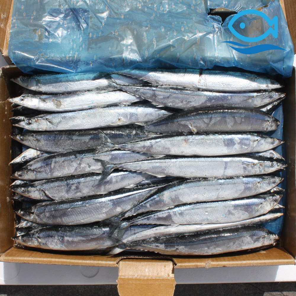 바다더해 도매 꽁치 1번 업소용 냉동 꽁치 구이 찜 찌개 생선구이, 1박스, 9.63kg 66,000원