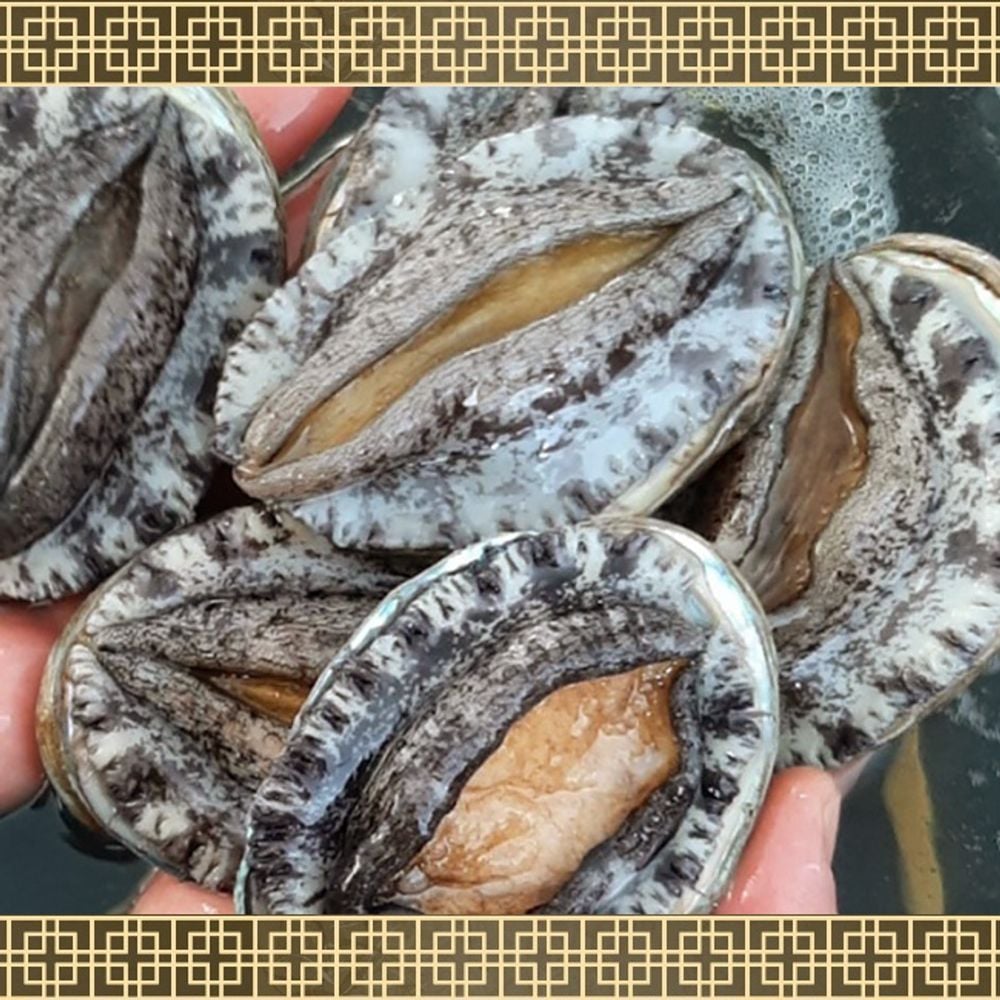 선물용 완도 활전복 세트 특대 2kg 추석 설날 답례품2026eand11 116,190원