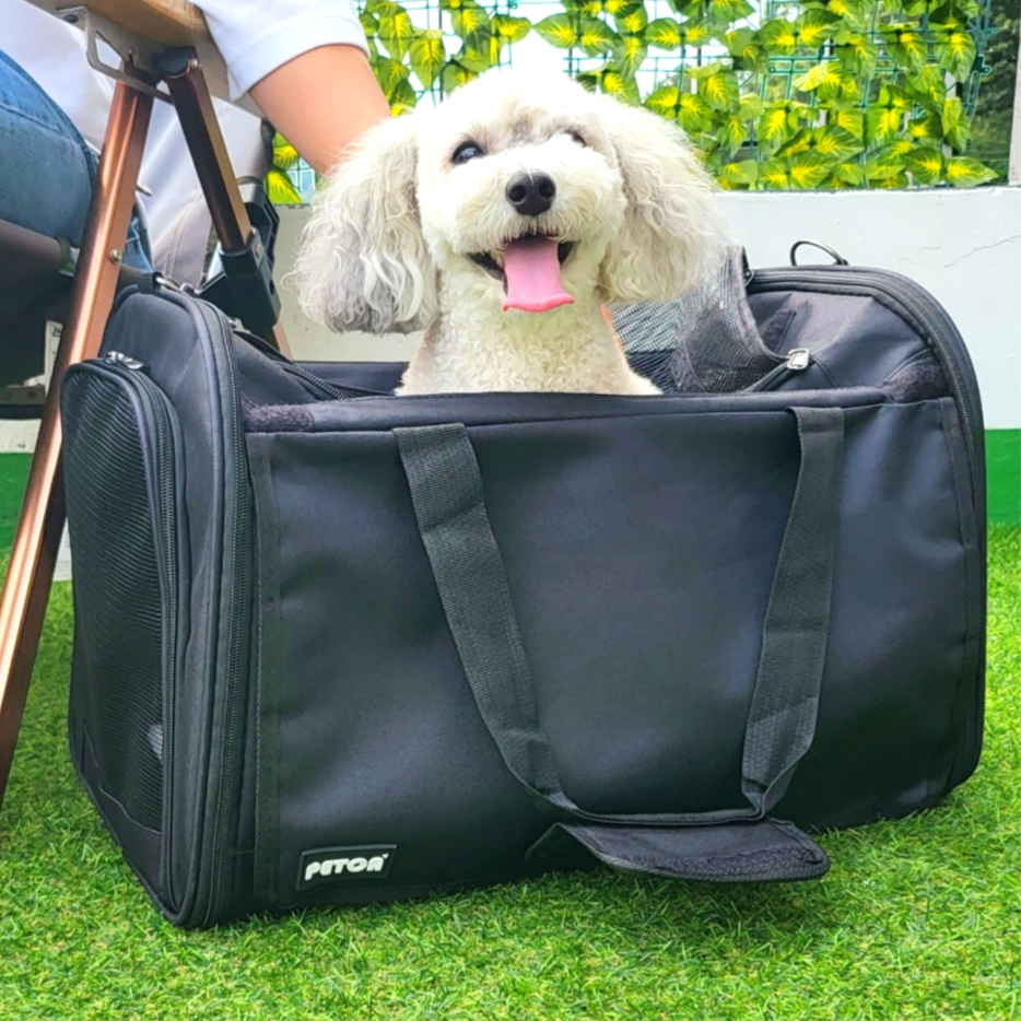 펫카 반려동물 커튼 크로스백 이동장, 블랙, 1개 29,900원