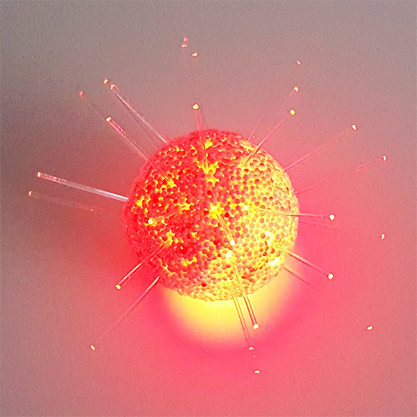 빤짝이 광섬유 성게 (10인용) 15,840원