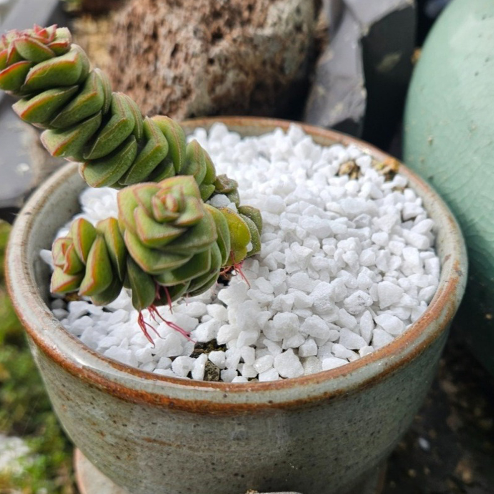 백색 마사토 자갈 대립 20L 7,000원