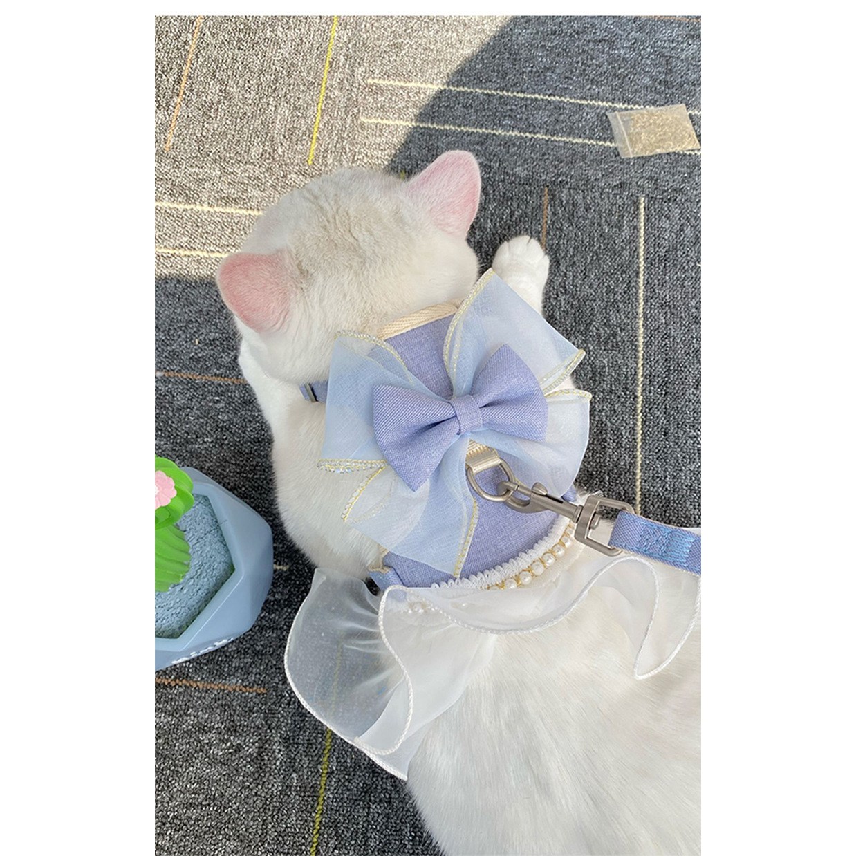 강아지하네스 리드줄 세트 진주리본 산책 H형 하네스 가슴줄, 블루, 1개 18,010원