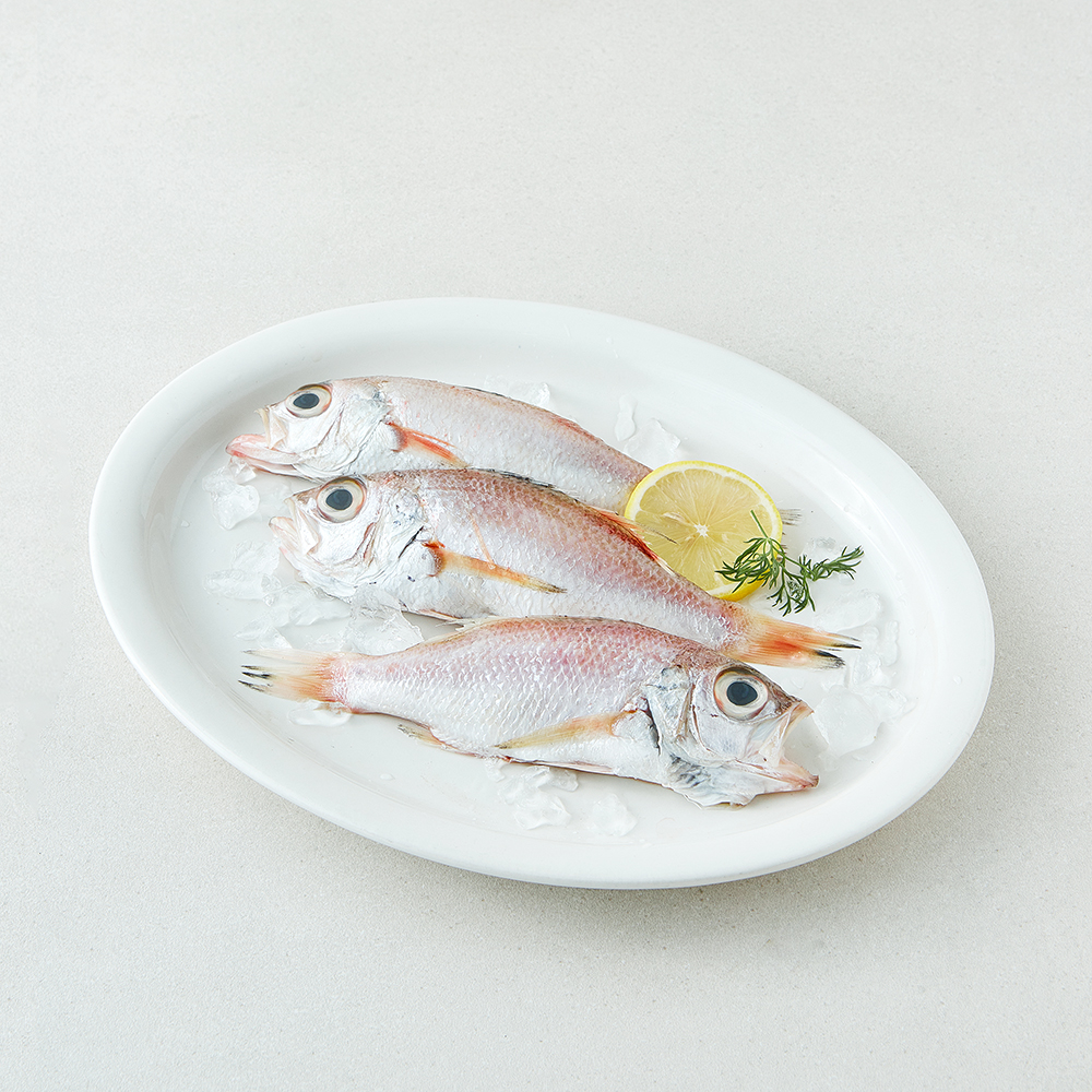 [로켓프레시] 미감어보 국내산 손질 효온처리 통금태 (냉장), 1개, 280g(3미) 17,500원