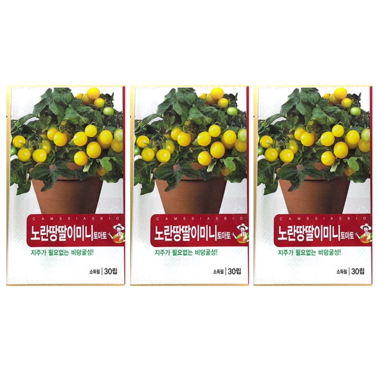 노란 땅딸이 미니 토마토 씨앗 (합 90립) 방울토마토 종자, 3개 8,980원