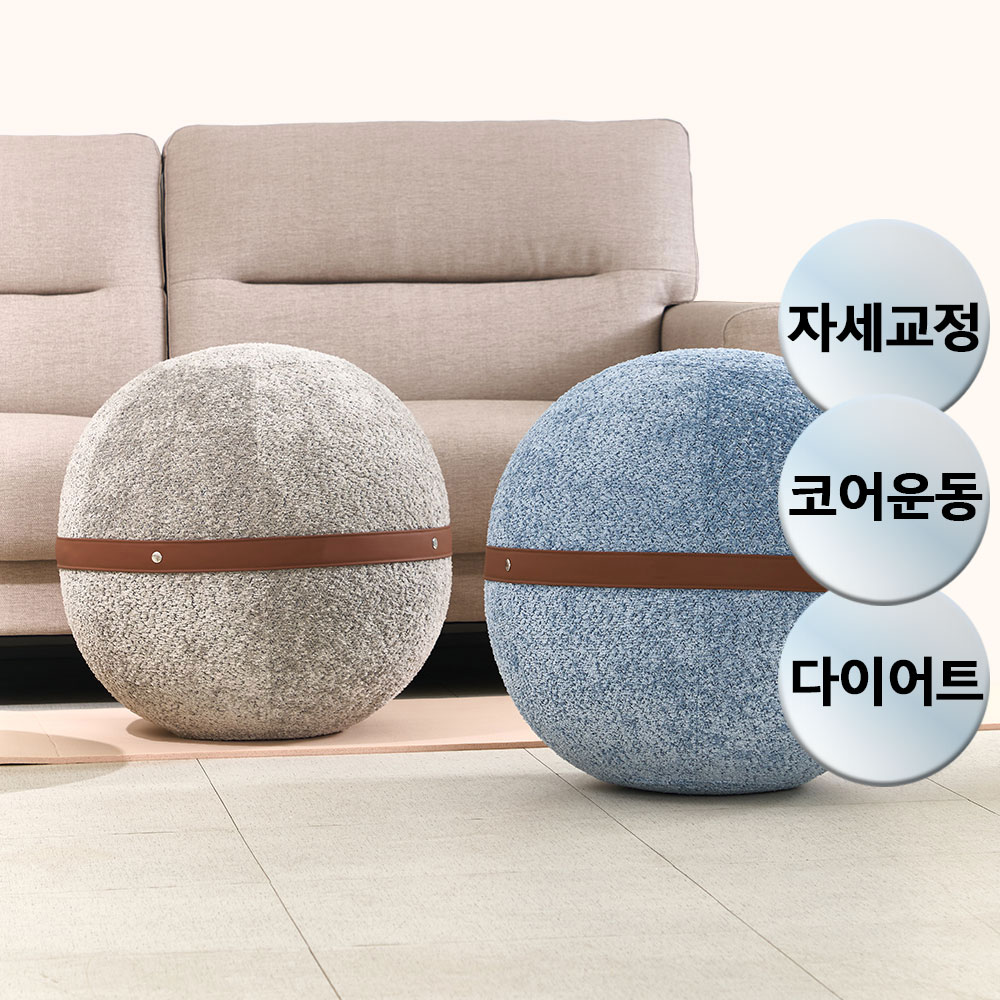 요가 밸런스볼 멀티 짐볼 의자 57cm 코어 근력강화 다이어트 스트레칭 패브릭 커버 찬물세탁 안티버스트, 블루 129,800원