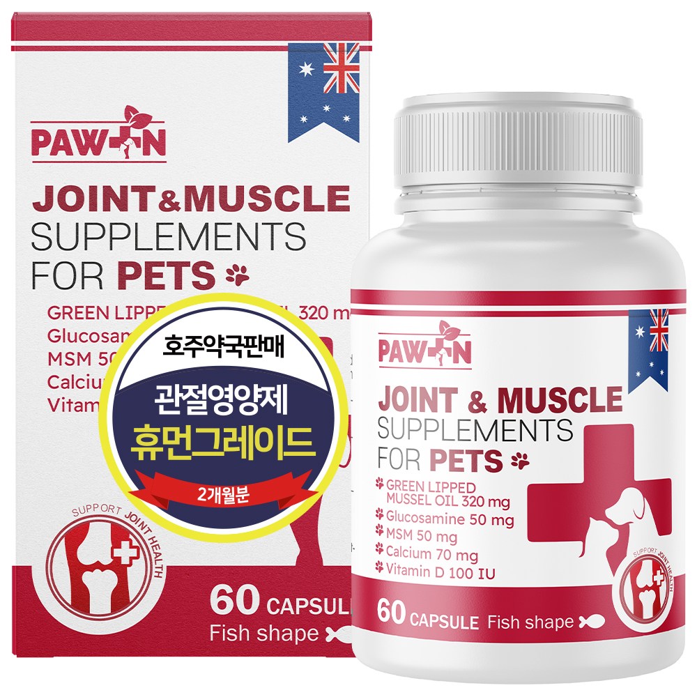 호주약국판매 포앤 강아지 고양이 관절영양제 슬개골탈구증상 초록입홍합 글루코사민 MSM, 뼈/관절강화, 60정, 2개월분, 60회분, 뼈/관절강화, 1개 89,900원