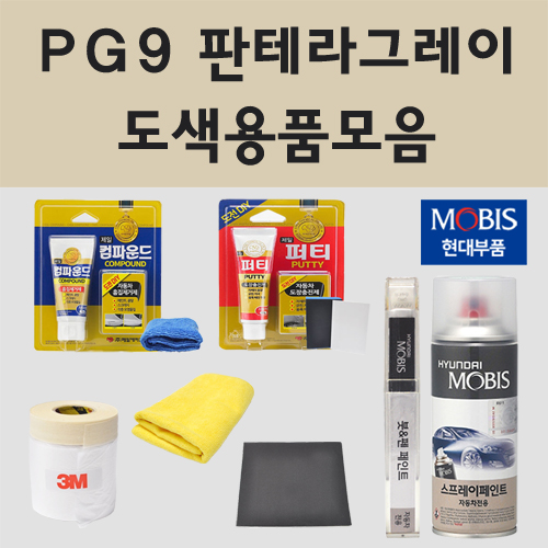 순정품 현대 PG9 판테라그레이 자동차 차량용 붓펜 카페인트 도색 스프레이 더뉴 그랜져 IG 하이브리드 뉴라이즈 LF 쏘나타 6,000원