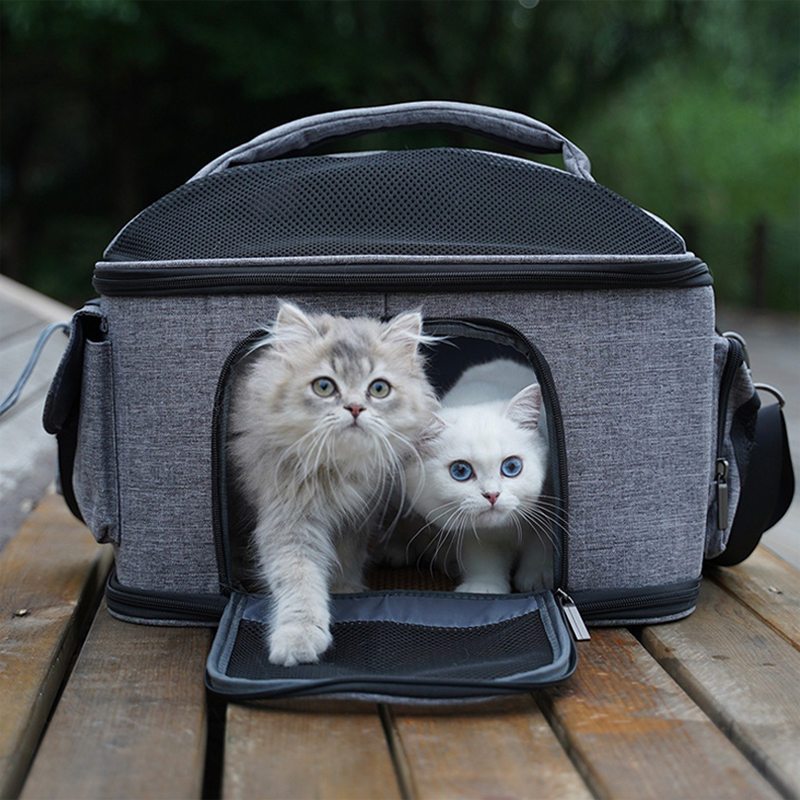 스페이스캣 4각 돔형 반려동물 이동가방 40,310원