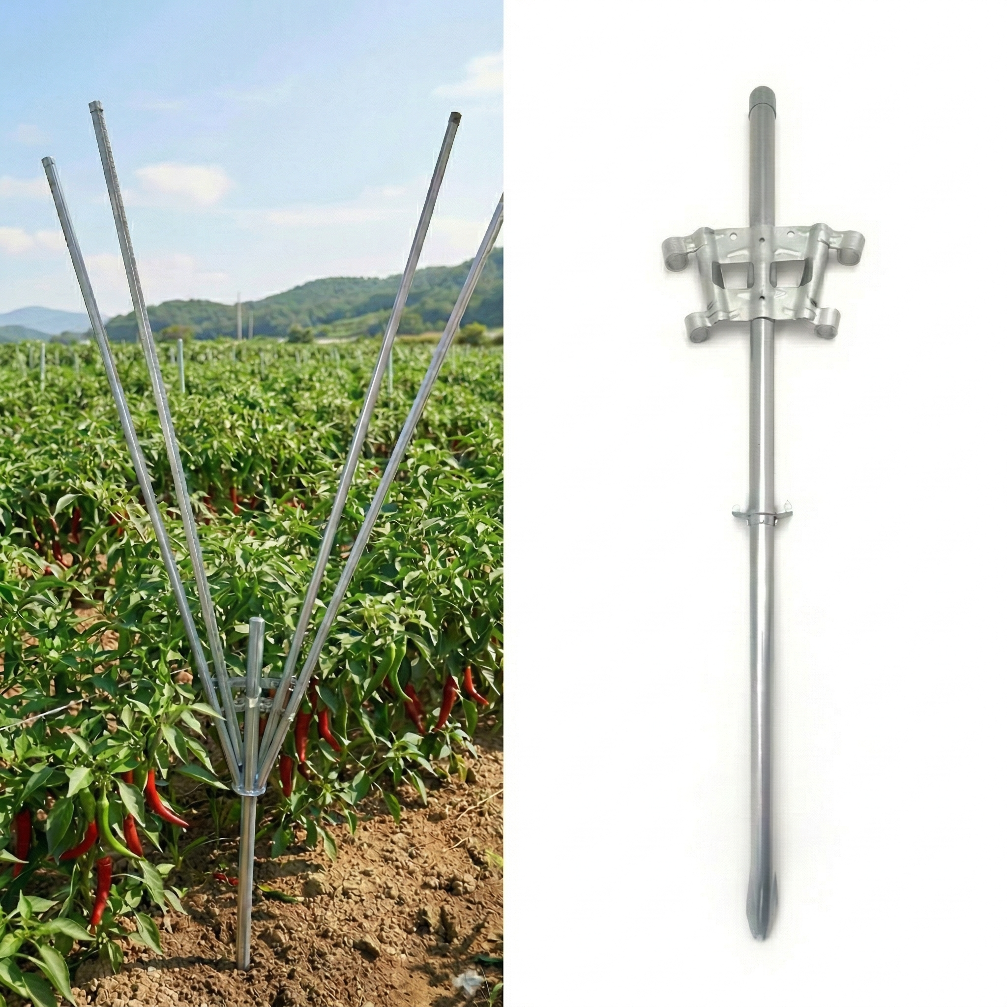 트루온 Y자 4구 식물 지지대 고추 지지대 넝쿨 식물 지지대 화분 지지대, 15개 47,500원