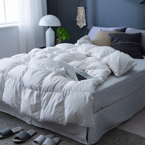 제로어클락 시그니처 구스다운 이불 사계절용 395,000원