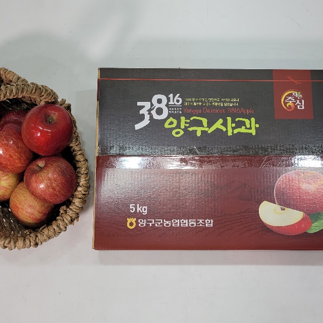 아삭아삭한 양구부사 사과 강원도 펀치볼 3816 꿀부사 49,890원