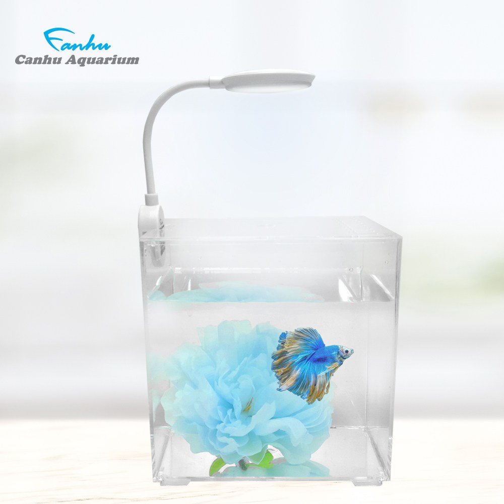 칸후 블링블링 미니 어항 세트 베타어항+USB조명+연하늘 꽃침대 13,800원