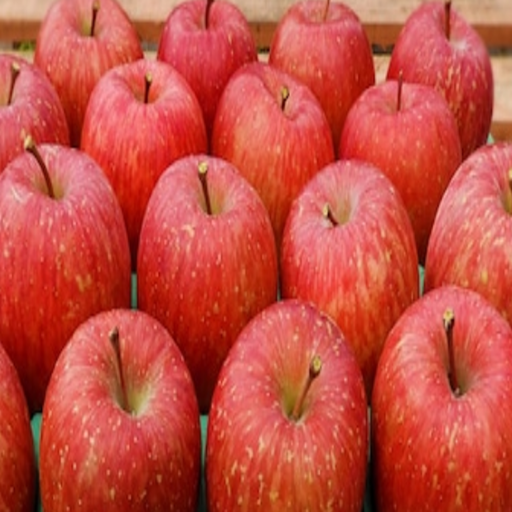 [꿀당도보장] 재구매1위 당일수확 산지직송 부사사과특품, 1박스, 5kg 38,800원