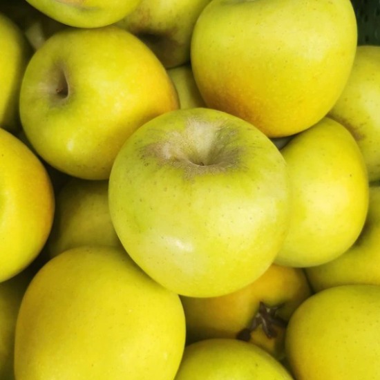 (명품과일) 제철 13Brix 당도폭발 시나노골드사과, 1개, 중소 5kg 30,900원