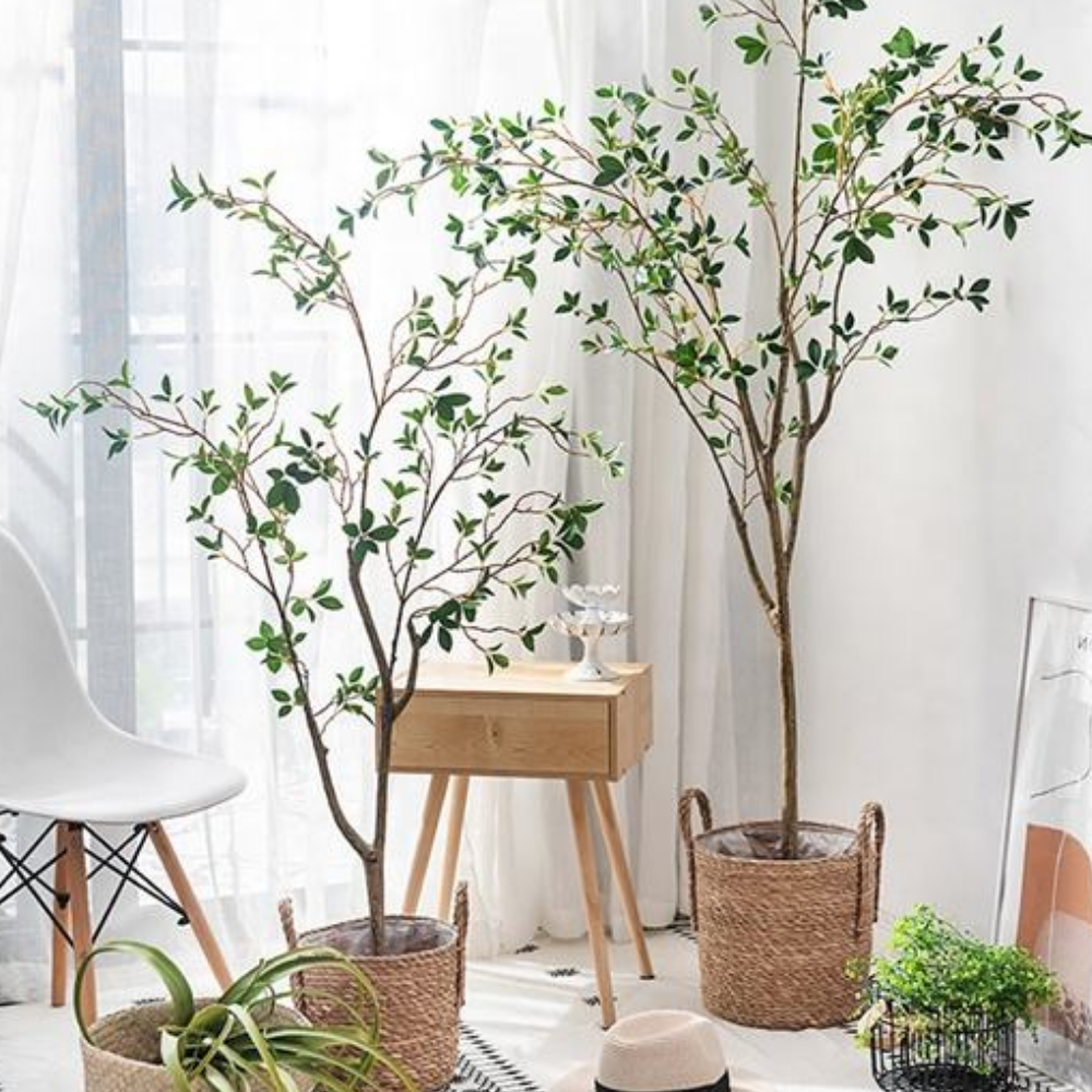 트리마켓 대형 인조나무 카멜리아 150cm 190cm 다목대 리얼터치 조화화분 실내 인테리어, 3. 카멜리아 180cm, 1개 121,380원