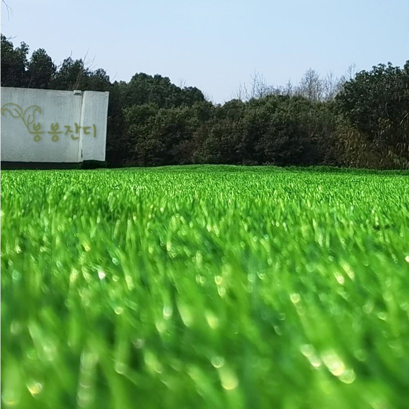봉봉잔디 야외 인조잔디 인조잔디롤매트 카페트 베란다 테라스 투톤 폭1m x 길이10m 두께20mm, 1개 109,500원