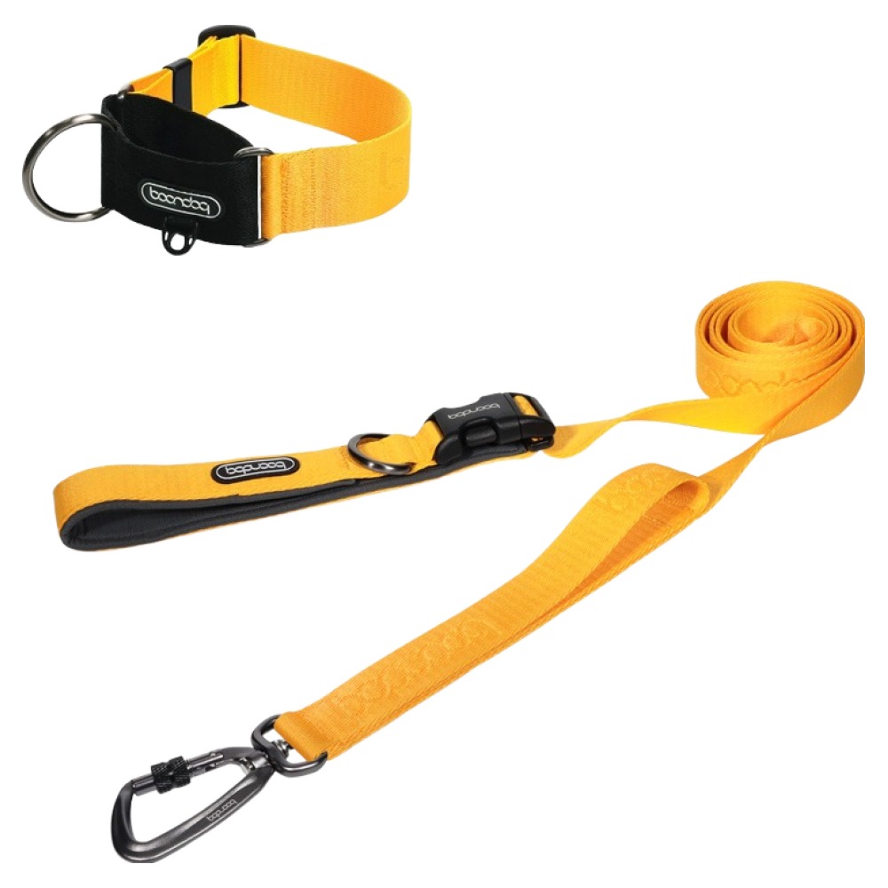 분독 강아지 플레이 리쉬 리드줄 + 카라비너 와이드 목줄 세트 85,500원