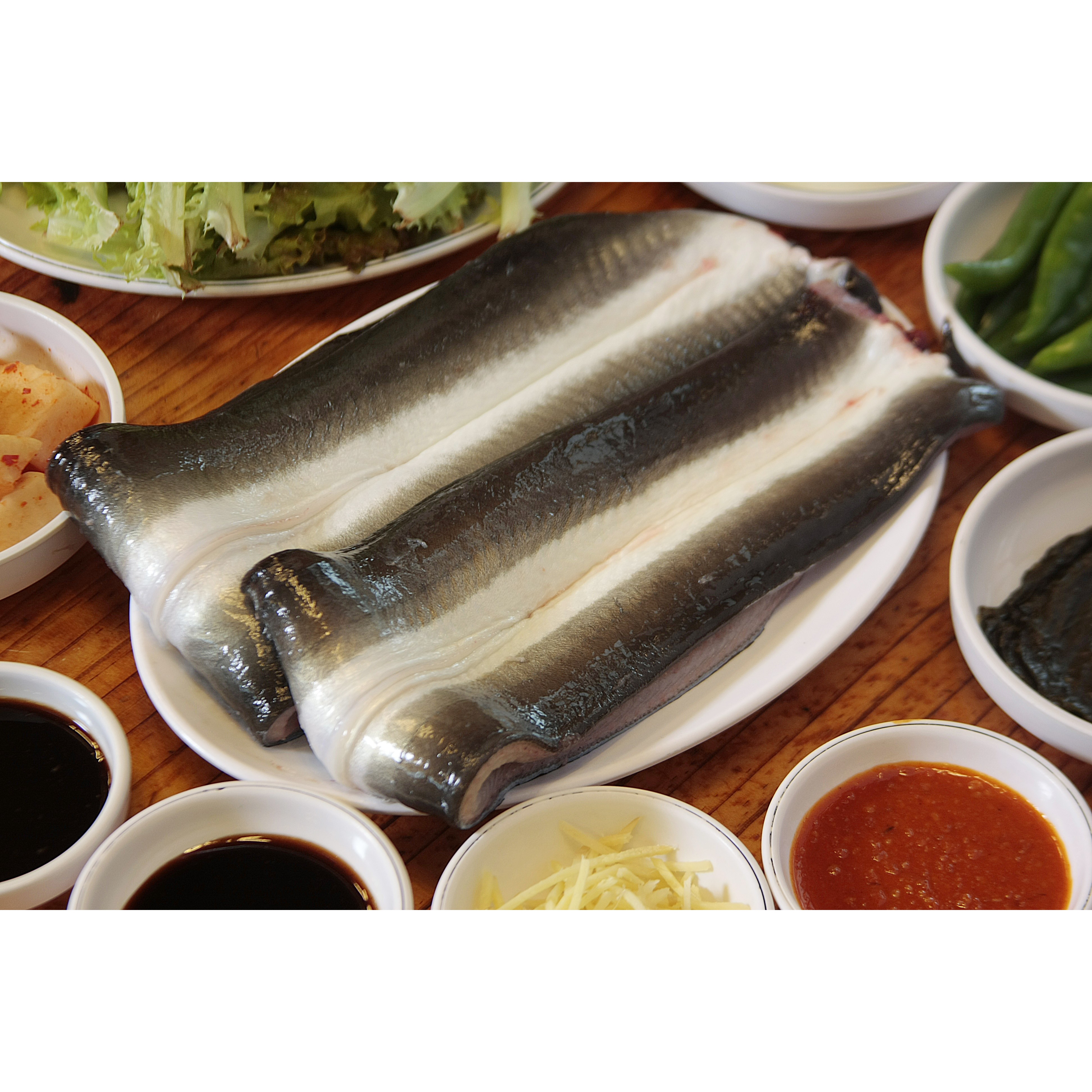 [ 당일한정 200세트!! ] 풍천민물장어 자포니카 국내산 천수산 풍천민물장어 손질민물장어 1kg 손질 후 정량500g, 1kg (손질 후 정량500g) 16,990원